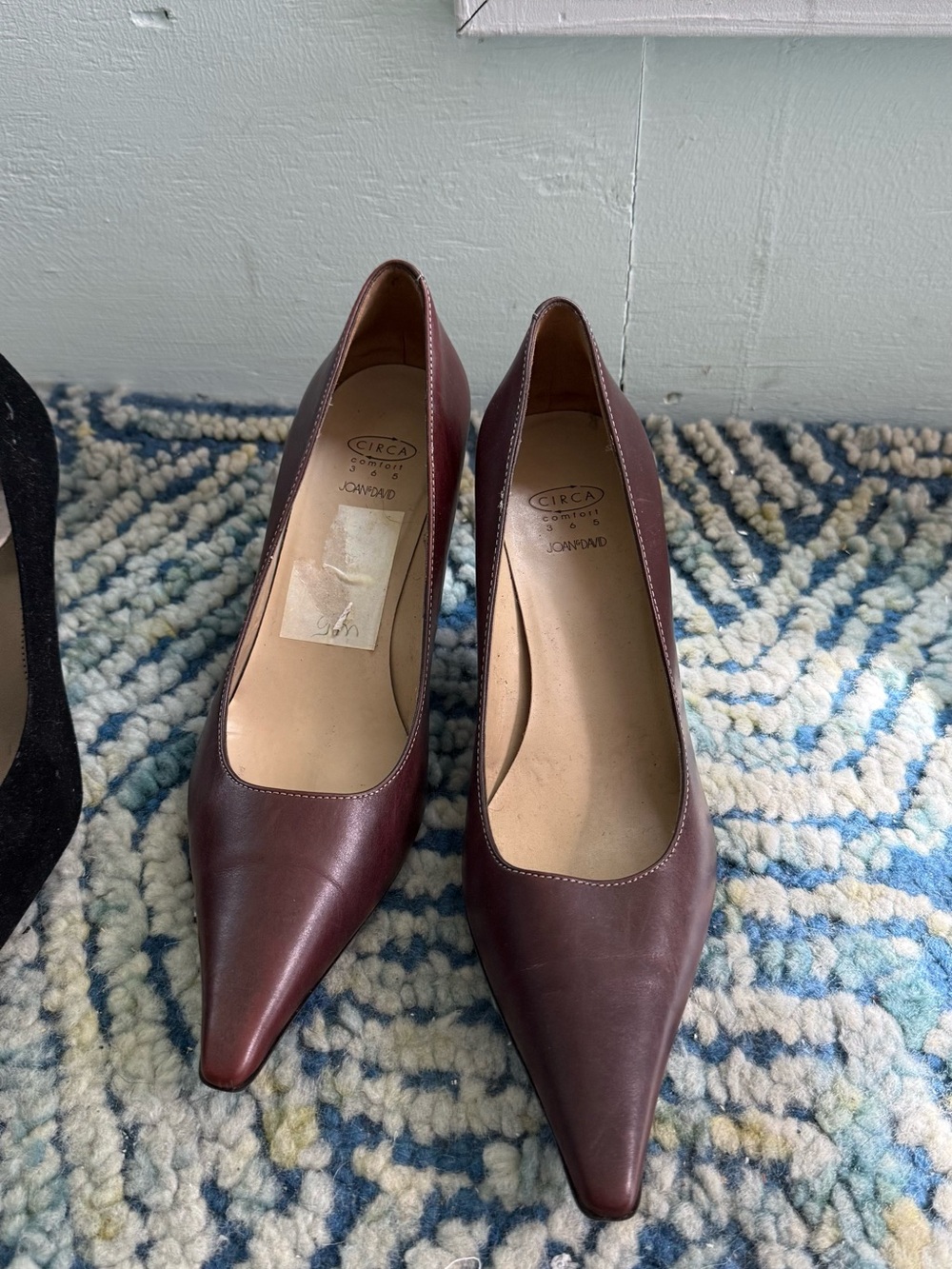 Joan & David Women's Leather Pointed Toe Pumps